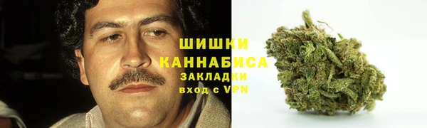 индика Приозерск