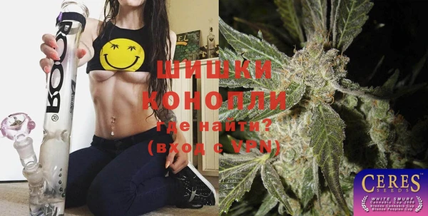 индика Приозерск