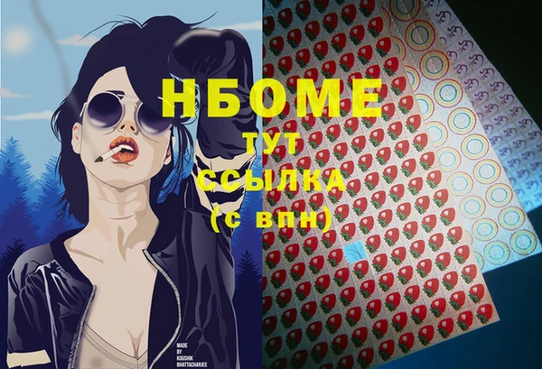 индика Приозерск