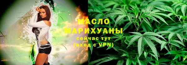 индика Приозерск