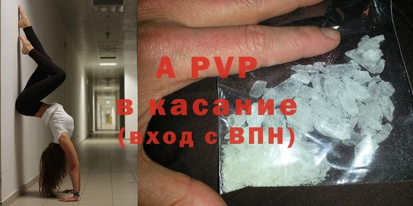 индика Приозерск