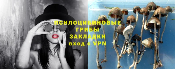 индика Приозерск