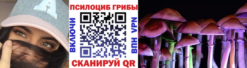 Галлюциногенные грибы Magic Shrooms  наркота  Щучье 